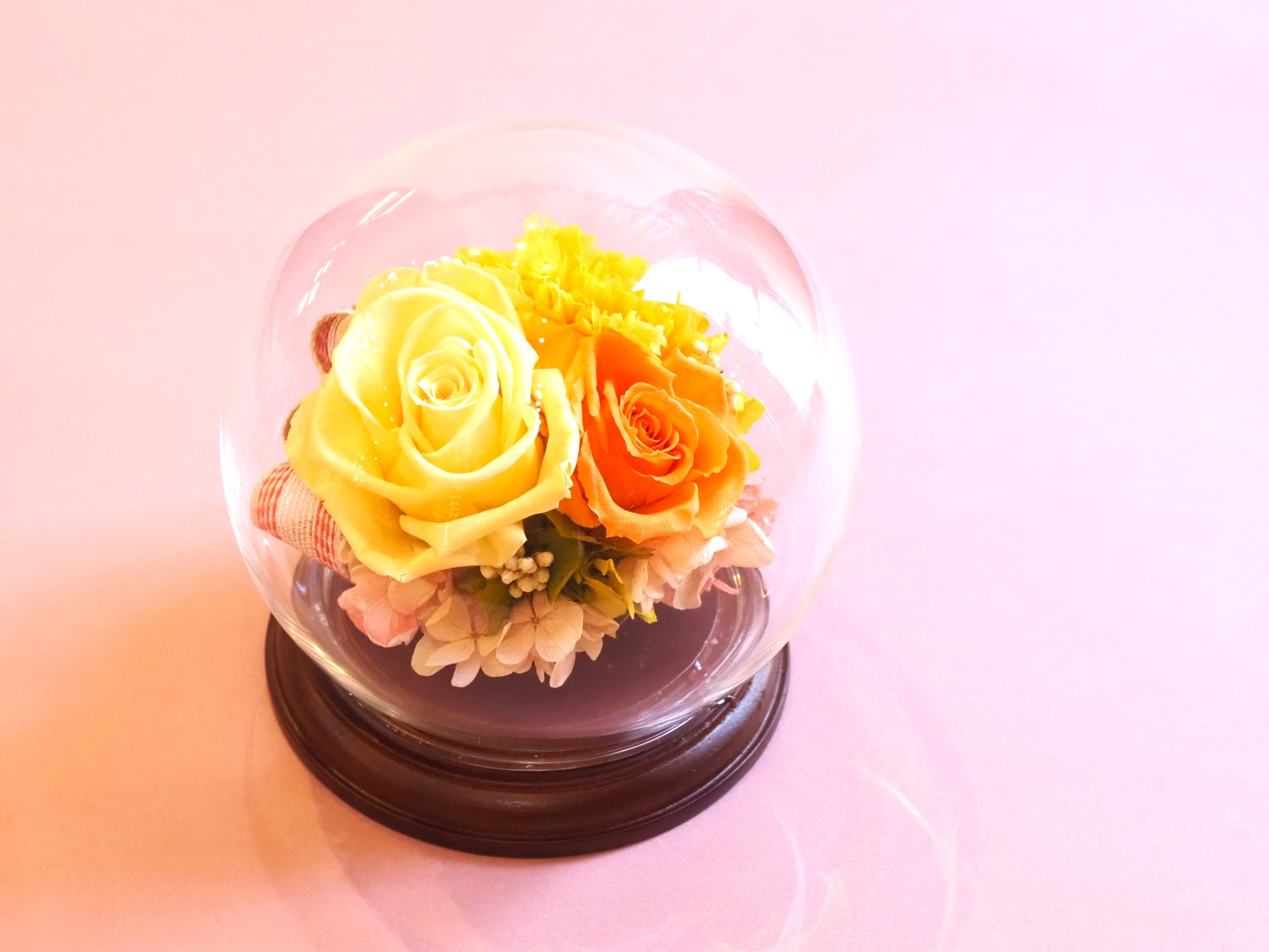 プリザーブドフラワー　ガラスドーム密閉　高さ22幅23cm　17mm傷あり プリザーブドフラワー ガラスドーム密閉 高さ22幅23cm 17mm傷あり