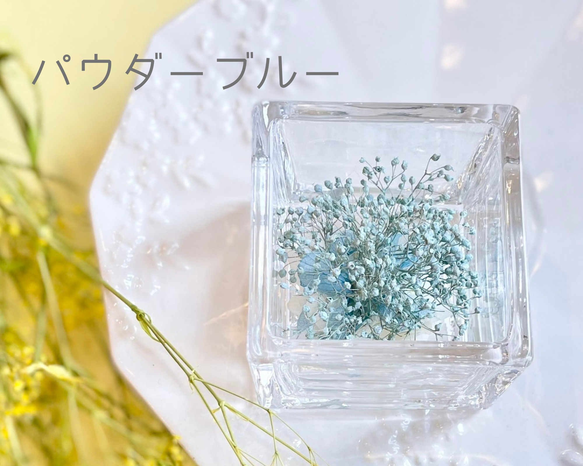 glass cube-kasumi- | プンダミリア オンラインショップ | 京都の 