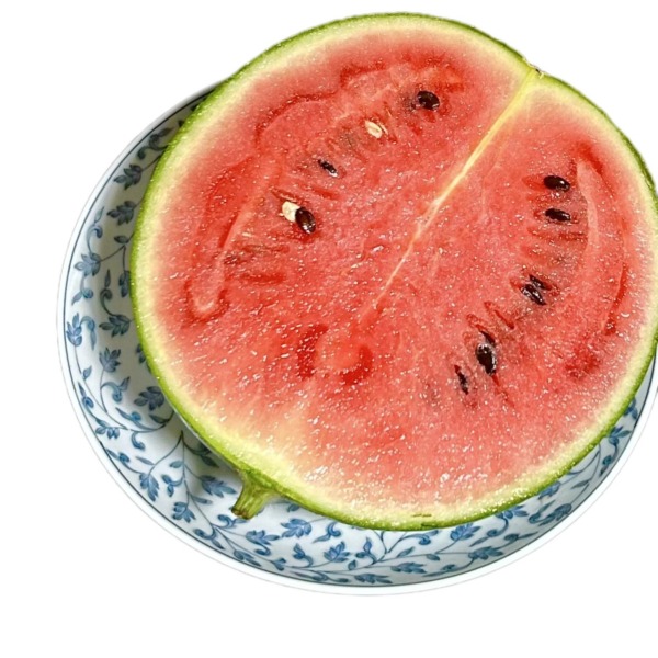 夏の食べ物
