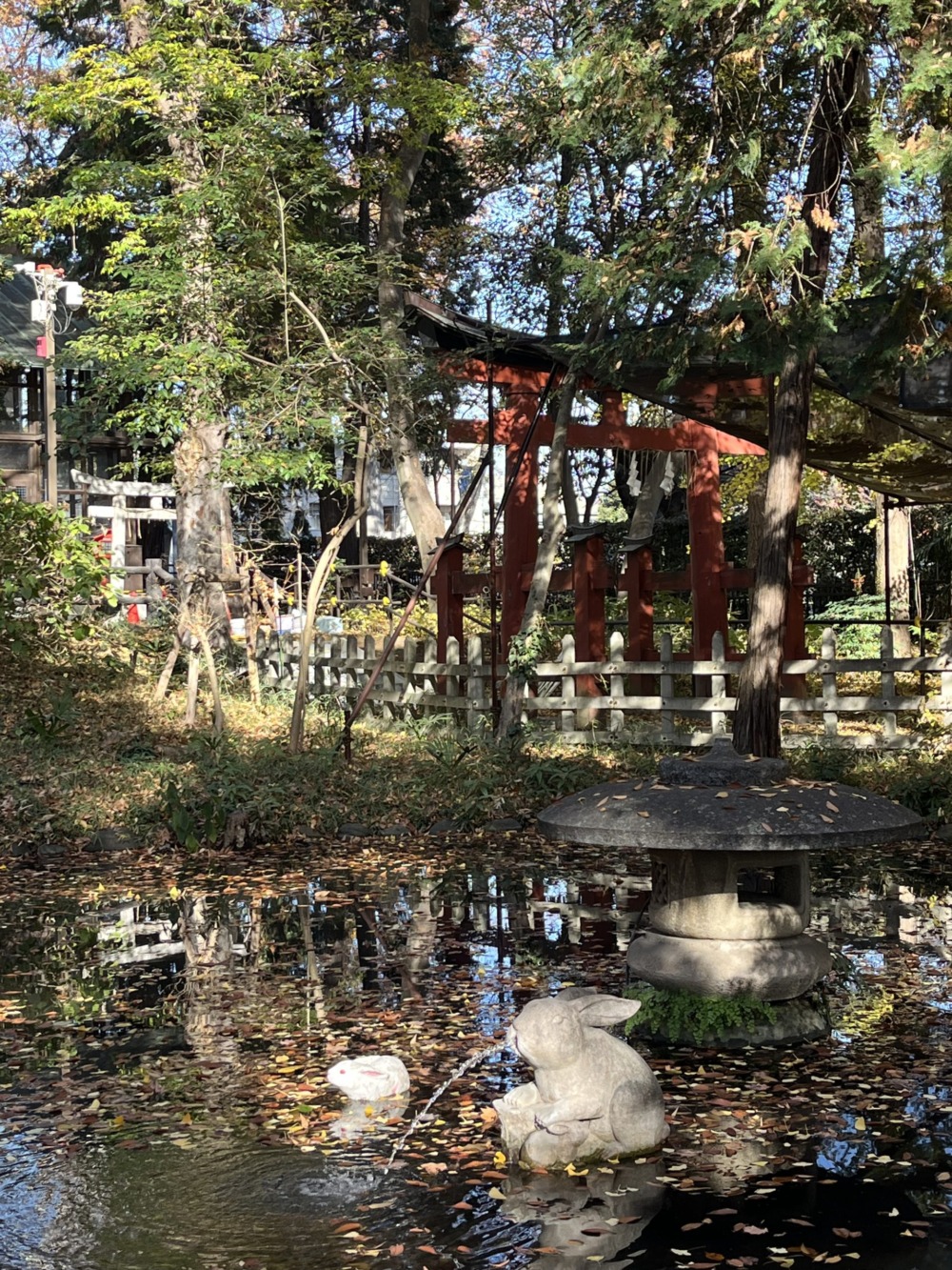 私と神社の2025年