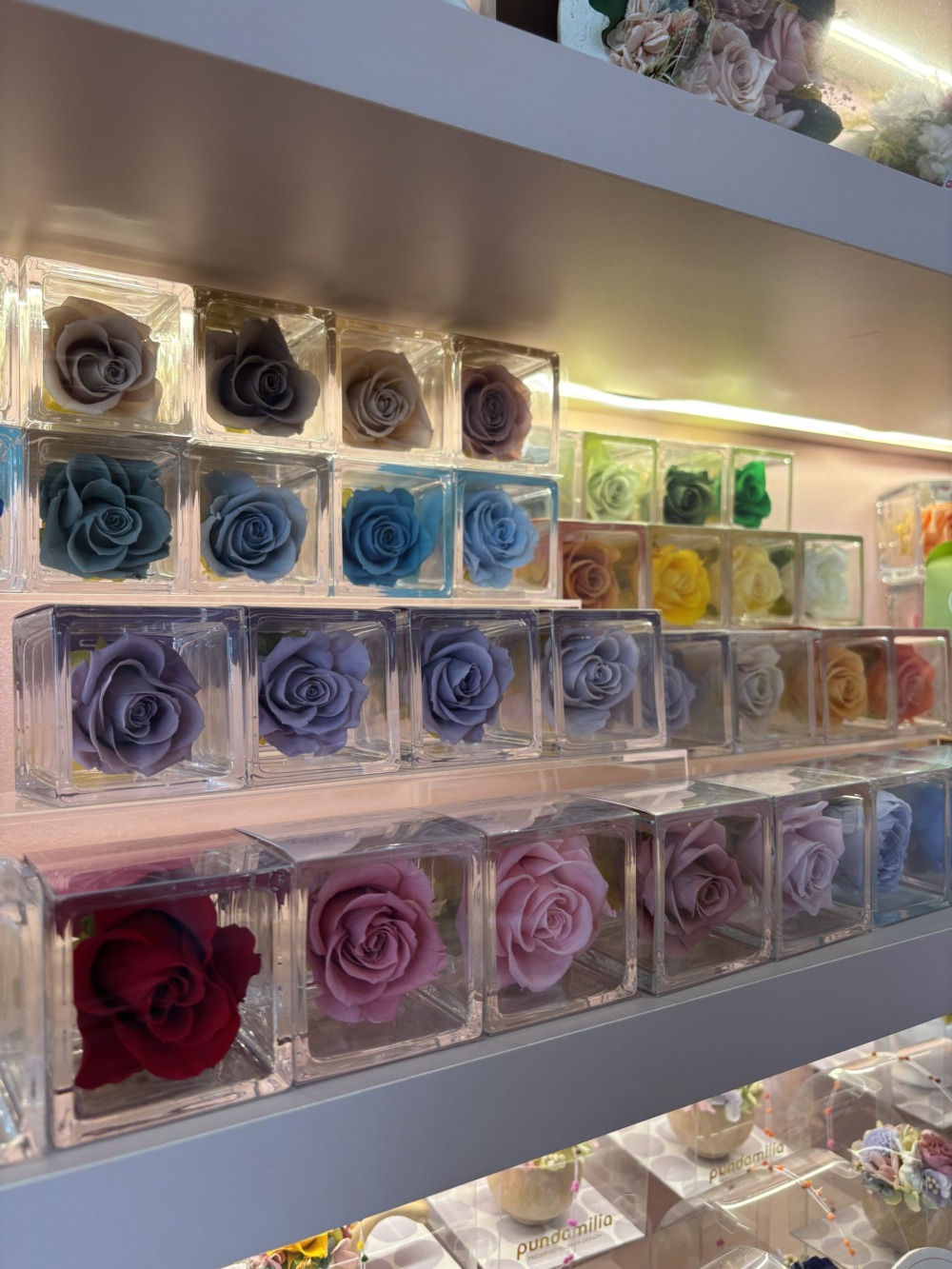 本年もよろしくお願いいたします💐