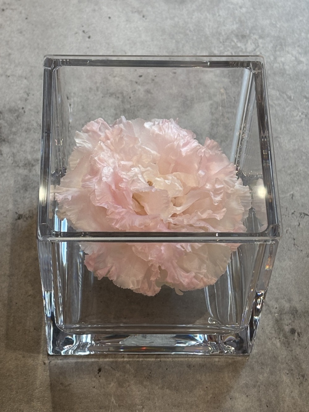 ㊗️✨成人の日✨