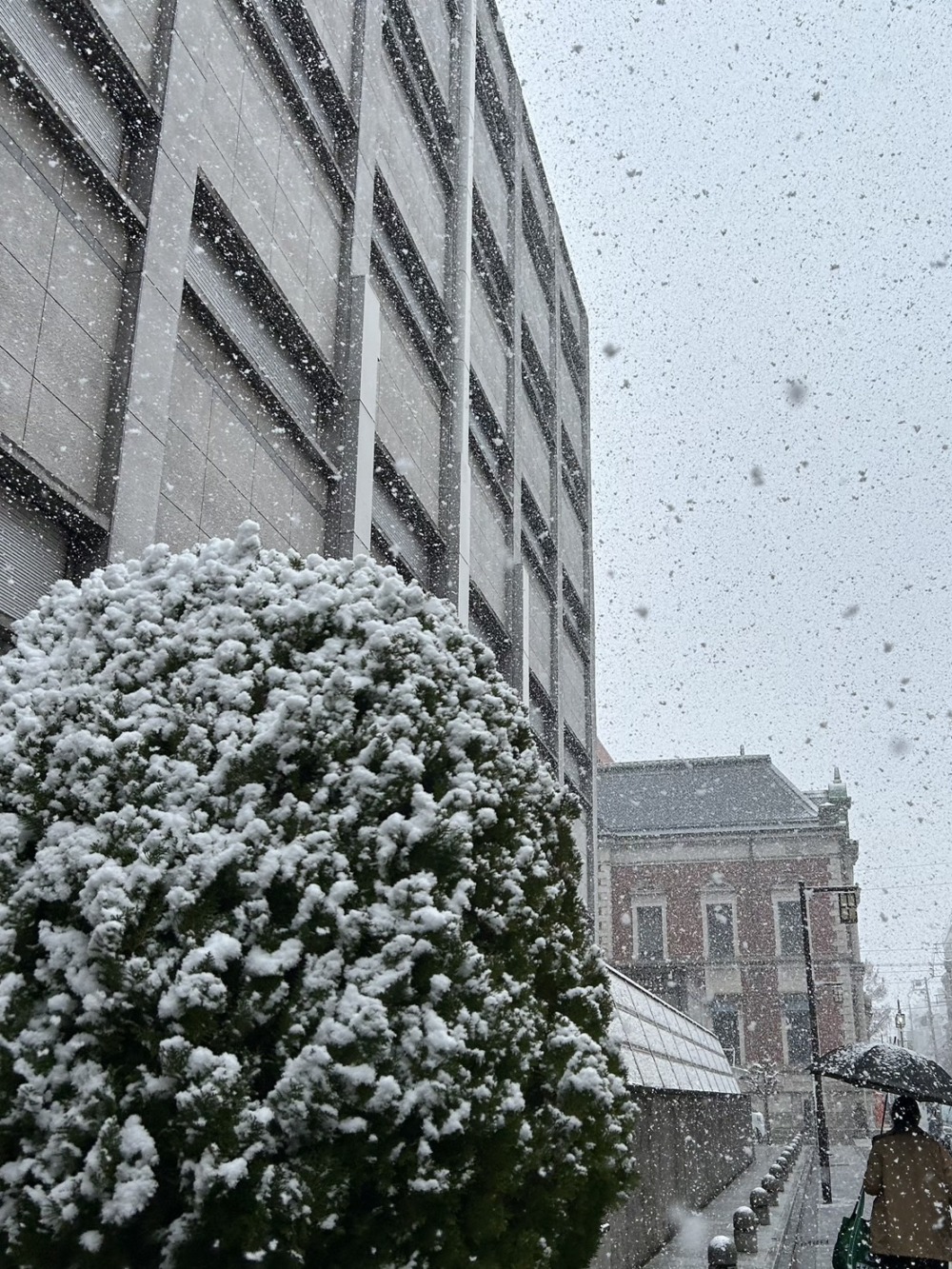久しぶりの雪とレッスン