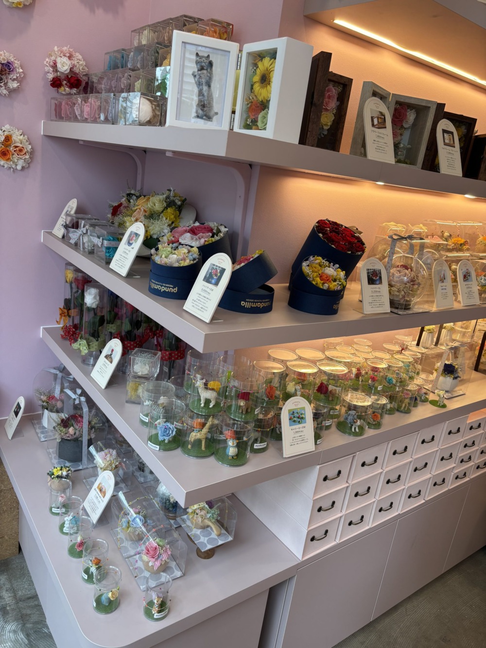 装いも新たに🌸